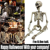 TD® Squelette Humain Articulé pour Décoration Halloween Party/ Education / Médical