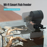 TD® Alimentation intelligente à distance WiFi automatique de deuxième génération alimentation de poissons d'aquarium d'aquarium