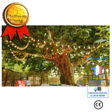 TD® grande guirlande boules lumineuses LED décoration extérieur intérieur écologique ambiance atmosphère décoration cadeau