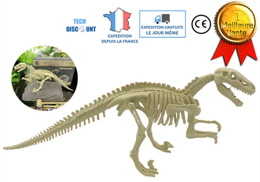 TD® squelette dinosaure à assembler jouet réaliste fouille archeologique enfant fossiles fille garçon tyrannosaure construction
