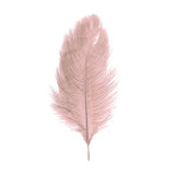 TD® 5 pièces Plumes autruches 20-25cm vieux rose - Plumes naturelles pour décorations maisons