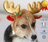 TD® Chapeau renne pour Chien Chat Noël Déguisement Costume Cosplay Animal de Compagnie Capuche Serre Tête Casquette Bandeaux Rigolos