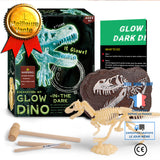 TD® Jouets éducatifs d'excavation archéologique de fossile de dinosaure de bricolage pour enfants Tyrannosaurus Rex