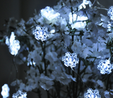 TD® 20 LEDs Clips Photo Guirlande Lumineuse, LED Photo Clips Lumière Chaînes décoration pour Photos, Fête, Mariage (Blanc Chaud)