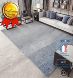TD® Tapis de style moderne de nos jours Tapis de style nordique ins