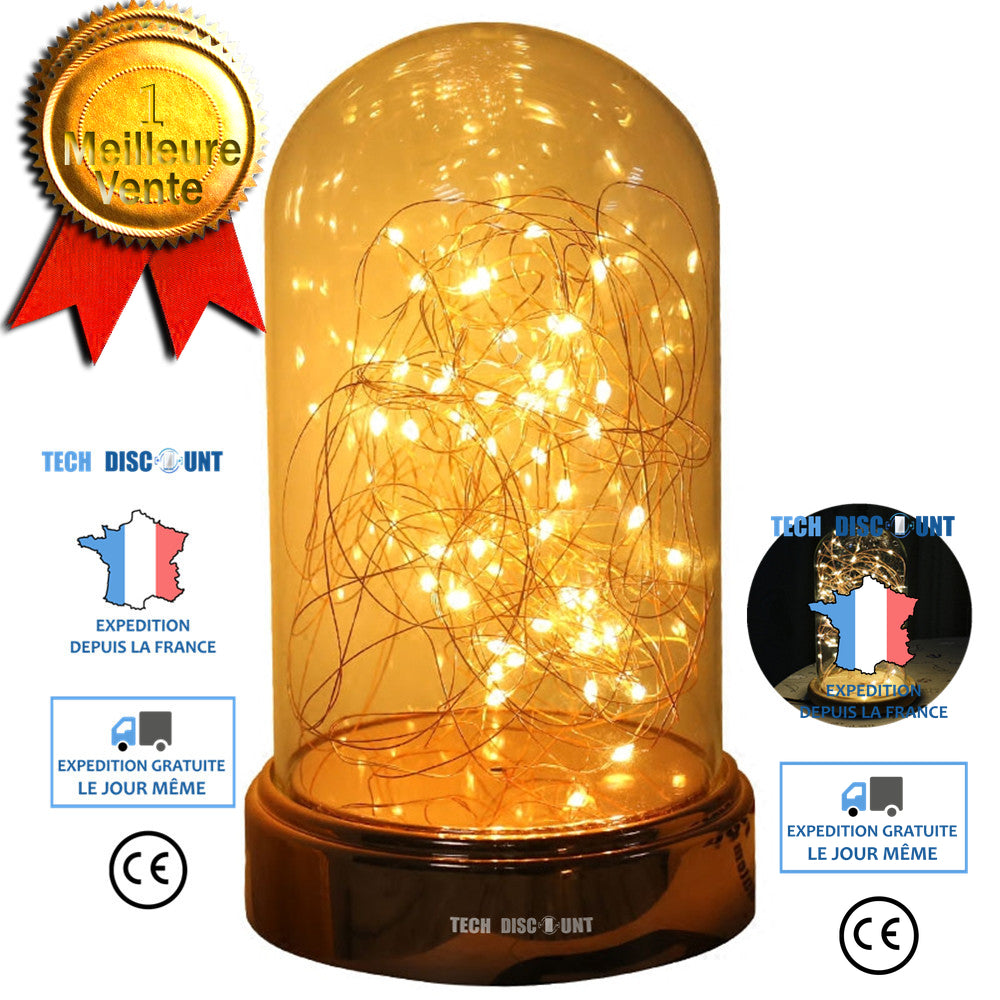 TD®  guirlande en bocal LED économie d'énergie noël fêtes atmosphère cadeau utilisation simple 2 lumières blanche et jaune