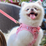 Petite élingue pour chien, ensemble de cordes pour chats en nylon,corde de traction personnalisée pour la poitrine et le dos
