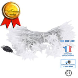TD® 10m-32.8ft 80LED Guirlande Lumineuse LED Lampe Étoile à Cinq Branches Ornement de Fête Maison