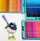 Ensemble de pinceaux stylo de couleur peint à la main 240 couleurs crayon de couleur huileuse ensemble de peinture fourniture