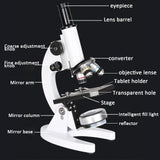 TD® Microscope 10000 fois enfants biologiques collégiens élèves à la maison oculaires électroniques professionnel haute définition b