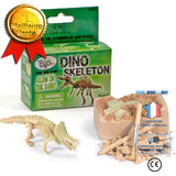TD® Squelette lumineux dinosaure jouets éducatifs éducatifs Simulation jouets archéologiques pour enfants ensemble d'excavation