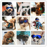 Lunettes de soleil pour chien et chat