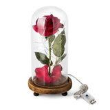 TD® Lampe lumière LED décorative multifonctions bluetooth haut parleur dôme de verre avec magnifique rose brillante lumière chaude