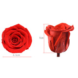 Fleur stabilisée 6-7cm 4 cadeau de fleur de tête de  rose, cadeau de Saint Valentin, cadeau de fleur stabilisée de rose rouge
