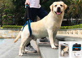TD® ceinture auxiliaire pour jambe de chien soutien pour la marche dressage support de réadaptation âgé bleu animal compagnie laisse