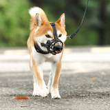 Masque pour animaux de compagnie anti-morsure et anti-aboiement couvre-bouche de chien maille taille réglable couvre-bouche d