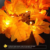TD®  Guirlande lumineuse LED Simulation feuille d'érable 10 LED 1.5M