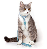 TD® Sangle de poitrine pour animal de compagnie laisse réfléchissante imprimée adaptée aux chats et chiens de petite et moyenne tail