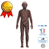 TD® Halloween decoration stranger Things 4 Costume Piranha Costume One Piece Performance Costume Homme One Piece