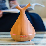 TD® Diffuseur d'arômes branche de grain de bois diffuseur d'arômes Mini purificateur d'air diffuseur humidificateur intelligent ména