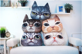 TD® 3D Cat Imprimer Coussin Coussin créatif mignon poupée en peluche cadeau Home  Joli tapis de chat  Couleur: gris