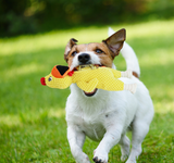 TD® Jouet en peluche pour animaux de compagnie de poulet hurlant Jouet de morsure de chien Jouet pour animaux de compagnie molaire