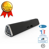 INN® Le subwoofer audio Bluetooth sans fil choque l'ordinateur Sound Blaster prend en charge la fonction NFC