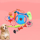 Pack de 10 jouets en laisse pour chien, jouets durables pour animaux de compagnie, jouets à mâcher pour chien