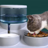 Combinaison d'alimentation et d'abreuvement pour chat Alimentation automatique pour chat et chien