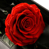 6 fleurs éternelles cadeau de fleur de tête de rose 6-7cm, cadeau de Saint Valentin cadeau de fleur de fleur éternelle rose r