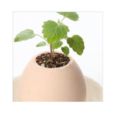 INN® Œuf à plante kit à planter jardin miniature intérieur extérieur décoration jardinage écologique amateur prêt à planter soi-même