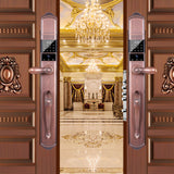 TD® Villa de reconnaissance faciale 3D serrure automatique à double porte d'empreintes digitales serrure de porte antivol visuelle