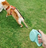 TD® La corde de marche rétractable automatique pour chien est simple et pratique, adaptée aux chiens de petite et moyenne taille