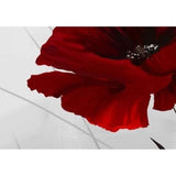 INN® tableau coquelicots rouge sur fond blanc toile peinture fleurs décoration murale 5 pcs vertical moderne champs sans cadre salon