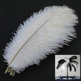 TD® 20 x plumes d'autruche naturel 25-30cm blanc fetes decoration - Plumes naturelles pour décorations maisons