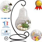 TD® Vase décoration design en verre transparent fer forgé mariage bureau en pot créatif suspendu boule cadeau ornements fleurs origi