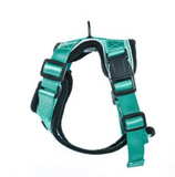 TD® Chat veste poitrine corde de traction corde de chat Mettre pour Chat - XS, Vert