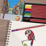 Ensemble de stylos en carbone 12 couleurs boîte fer couleur crayon carbonisé dessin écriture croquis art peinture ensemble ou