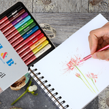 Ensemble de stylos en carbone 12 couleurs boîte fer couleur crayon carbonisé dessin écriture croquis art peinture ensemble ou