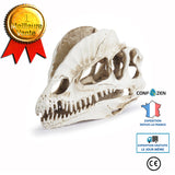 Crâne de dinosaure Fossile de crâne Décoration d'intérieur pour Halloween Résine Artisanat Modèle Squelette