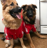 TD® vetement sport chien a capuche grande taille été male pull moyen femme rouge hoodie habit manteau moyen costume veste deguisemen