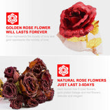 TD® Bouquet de roses 2 feuilles d'or pour petite amie femme imitation or roses éternelles cadeau de Saint Valentin