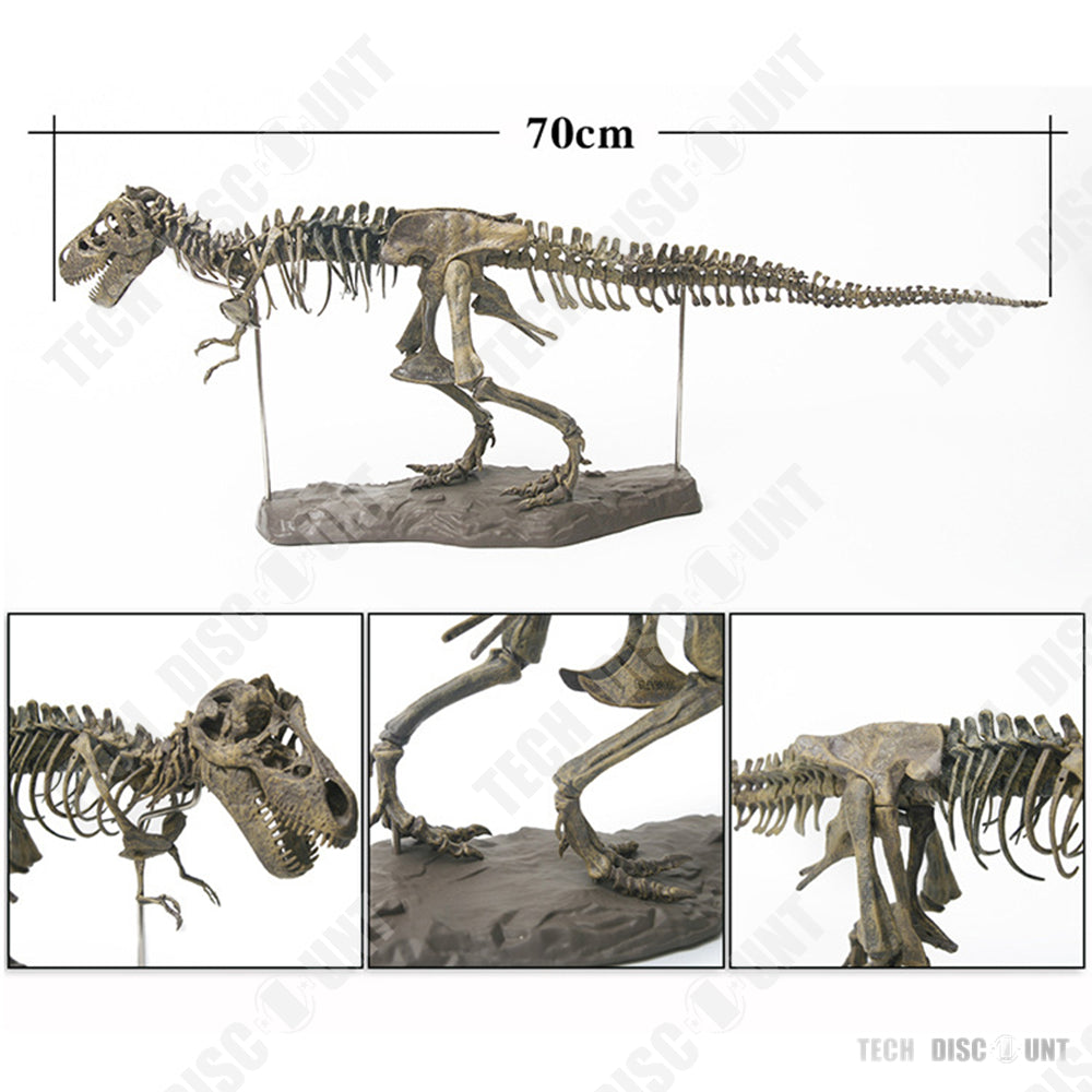 TD® squelette Dinosaure à assembler réaliste enfant jouet jurassic world anniversaire Tyrannosaure fossile os simulation éducatif
