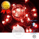 TD® Lanterne féerique guirlande couleur rouge ambiance festive noël alimentation piles 12 mètres luminaire jardin piscine camping