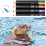 Changer l'ensemble de dessin de stylo de couleur de travail Ensemble de 71 pièces de crayon de couleur de croquis stylo dessi
