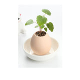 TD® Œuf à plante kit à planter jardin miniature intérieur extérieur décoration jardinage écologique amateur prêt à planter soi-même