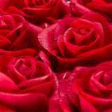 TD® 12 Fleurs Préservées Cadeau Hug Seau Rose Boîte Fait Main Décoration Cadeau Saint Valentin Facile à Préserver