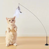 TD® Bâton de chat taquin à ventouse auto-cicatrisante Cloche de plume super long bâton de chat taquin Plume jouet de chat taquin