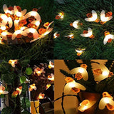 TD® Guirlande Lumineuse 5M 20 Ampoules, Guirlande lumineuse LED Blanc Chaud Décoration pour Fête Noël Mariage