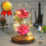 TD® Couvercle en verre LED 2 rosaces cadeaux de décoration de parcelle